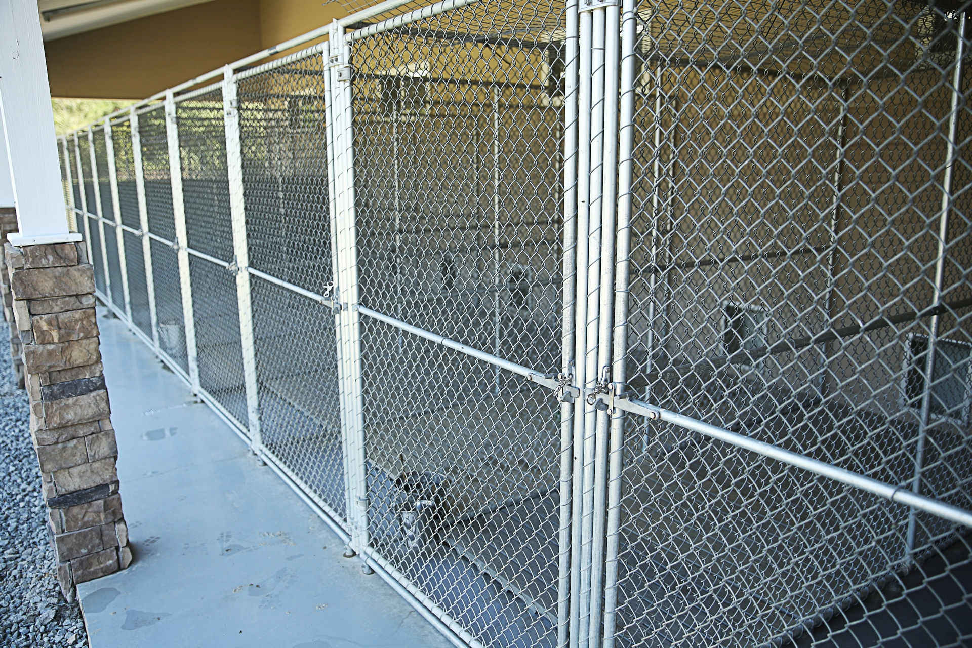 Kennels in the Country &copy;