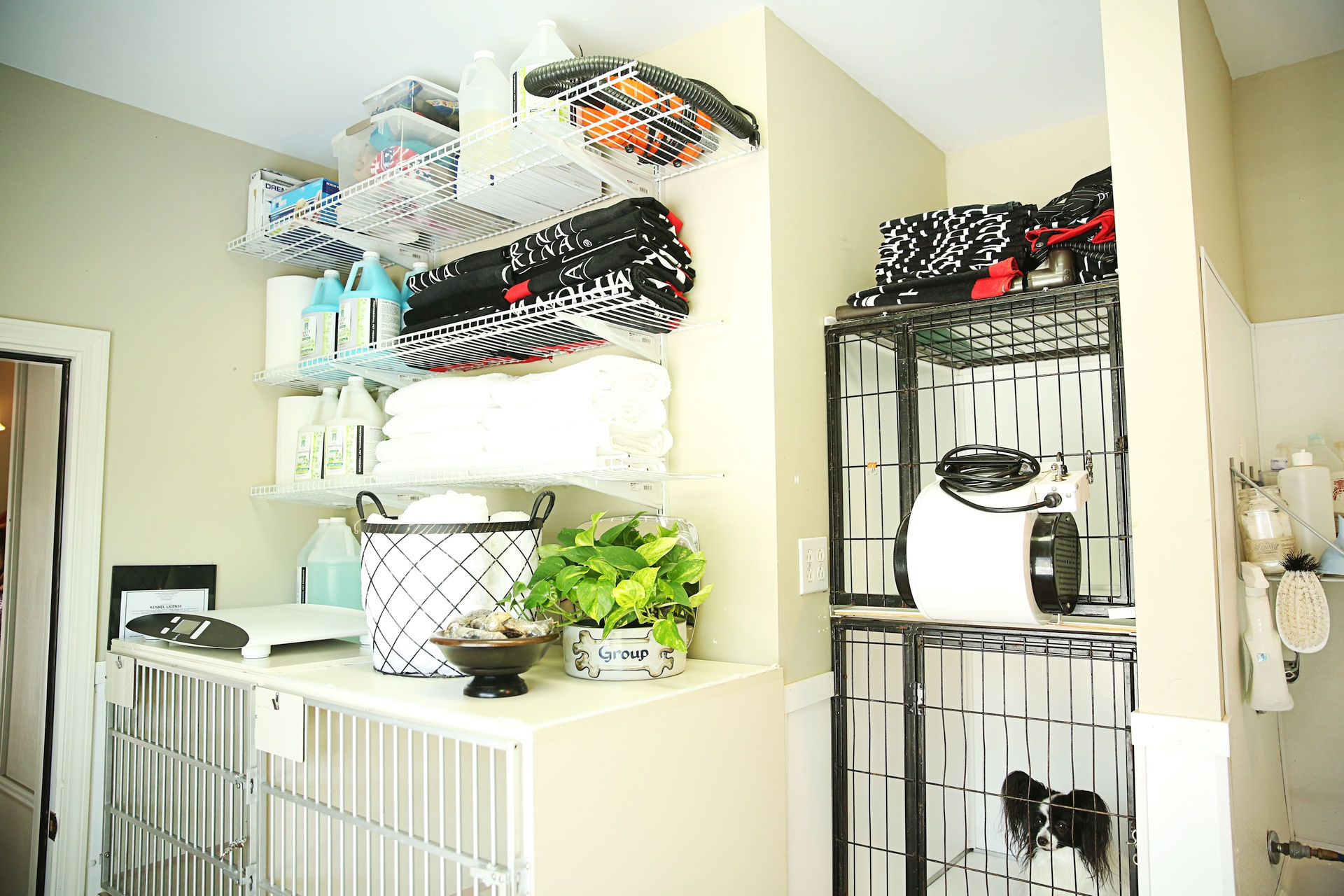 Kennels in the Country &copy;