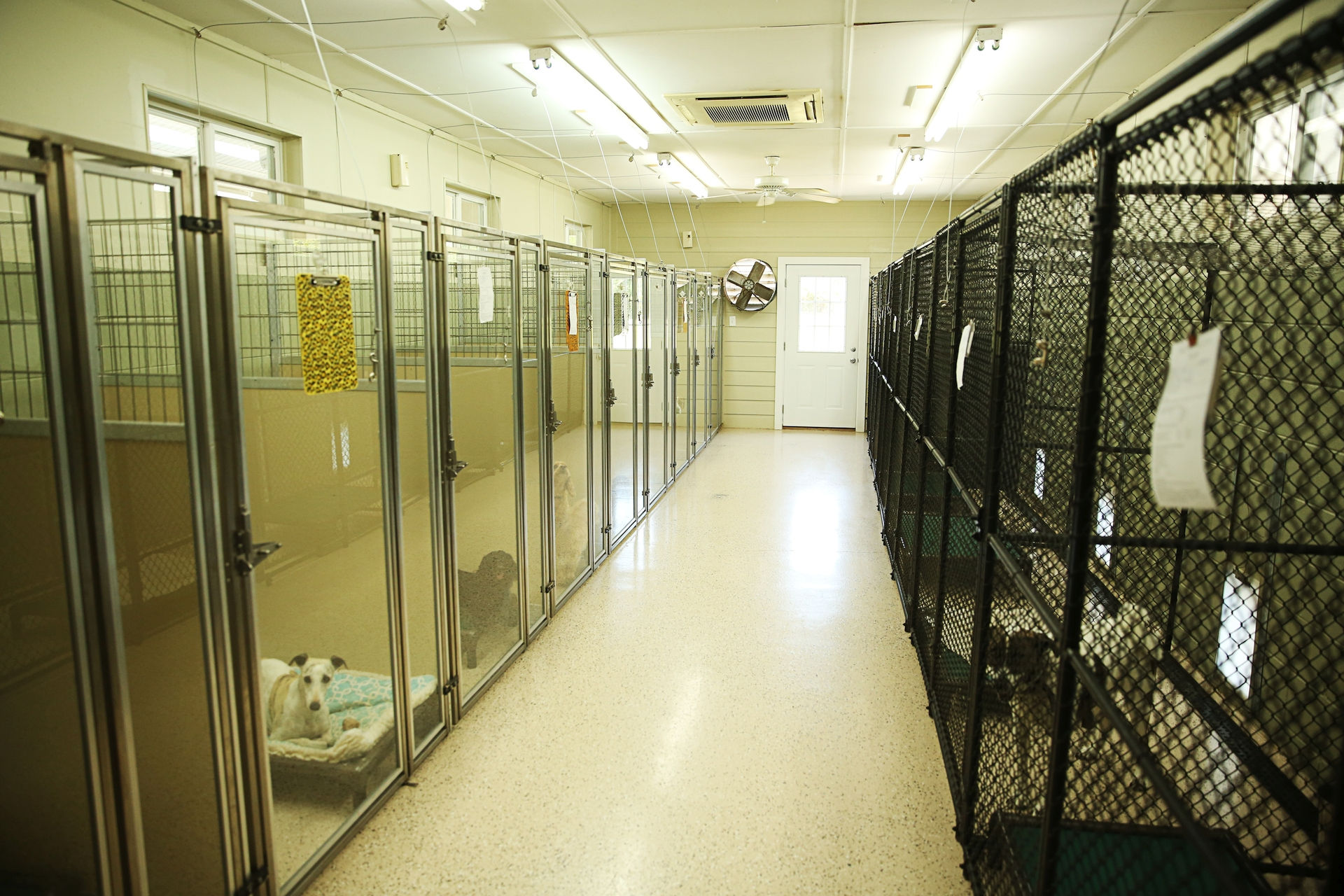Kennels in the Country &copy;